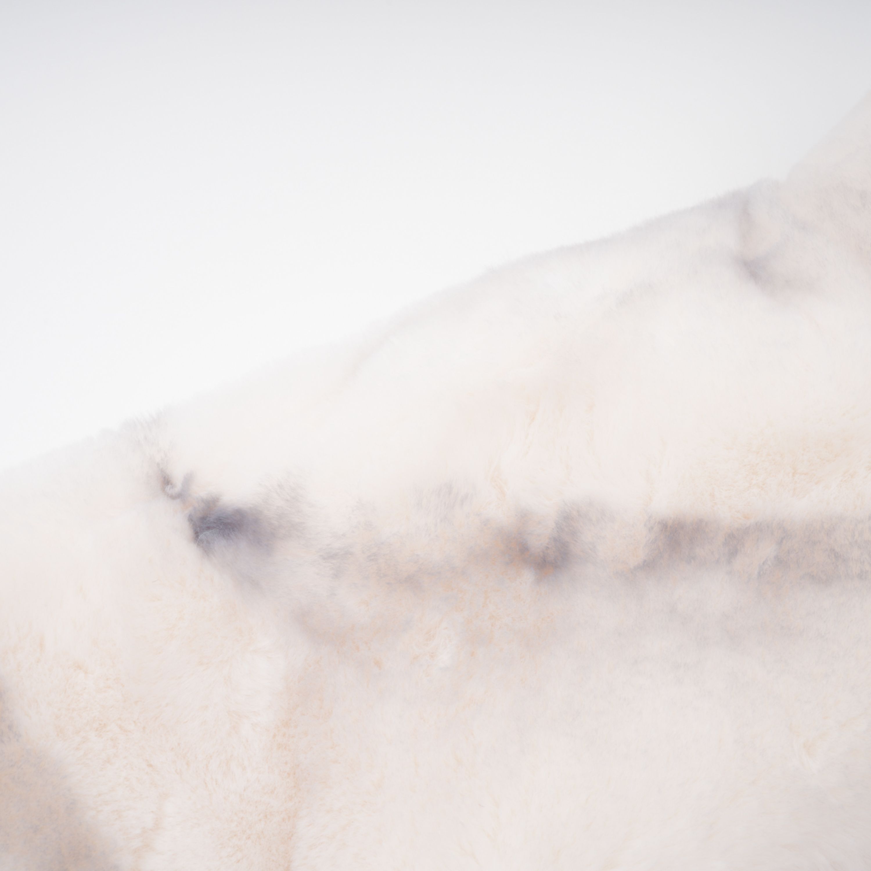 Abrigo corto de peluche falso con degradado blanco de la marca Bridal, mostrando textura suave y diseño elegante.