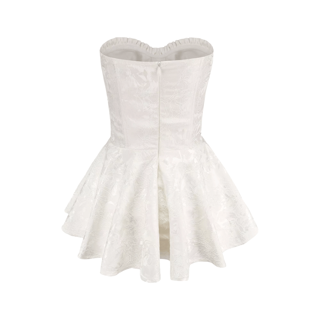 Airina lace-embroidered flared mini dress (Final Sale)